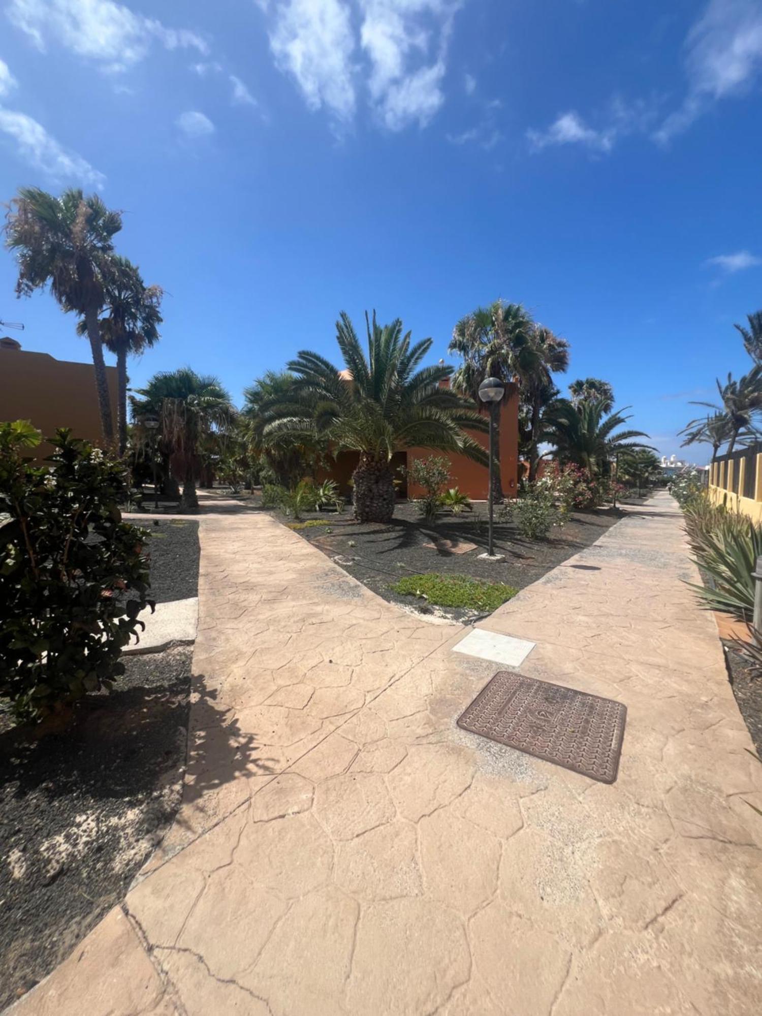 Paraiso Del Mar * Corralejo
